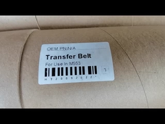 Transfer Belt for M553