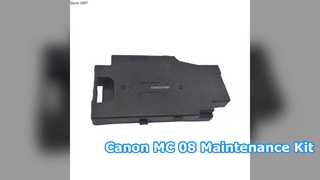 Ink Maintenance Kit WorkForce WF-100  T2950 T295000