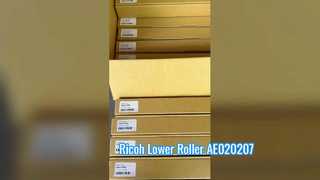 Lower Roller AE020207 for Ricoh MP301 Hongtaipart