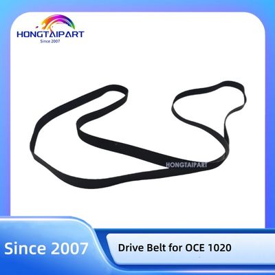 Buy Drive Belt 2955926 for OCE 1020 Original online manufacture