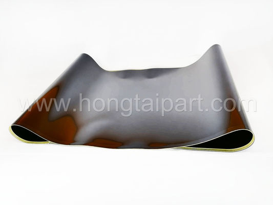 Buy Transfer Belt for Ricoh MPC4502 5502 online manufacture