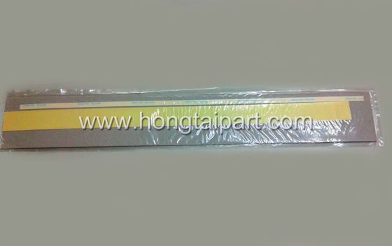 Mylar Seal